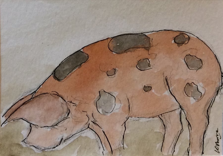 Mud, glorious mud - original pen, ink and watercolour of farmyard pig