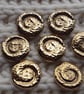 1 & 1 4" 32mm 50L Feature Buttons Antique Gold SHELL SWIRL x 2 Buttons - Image 4