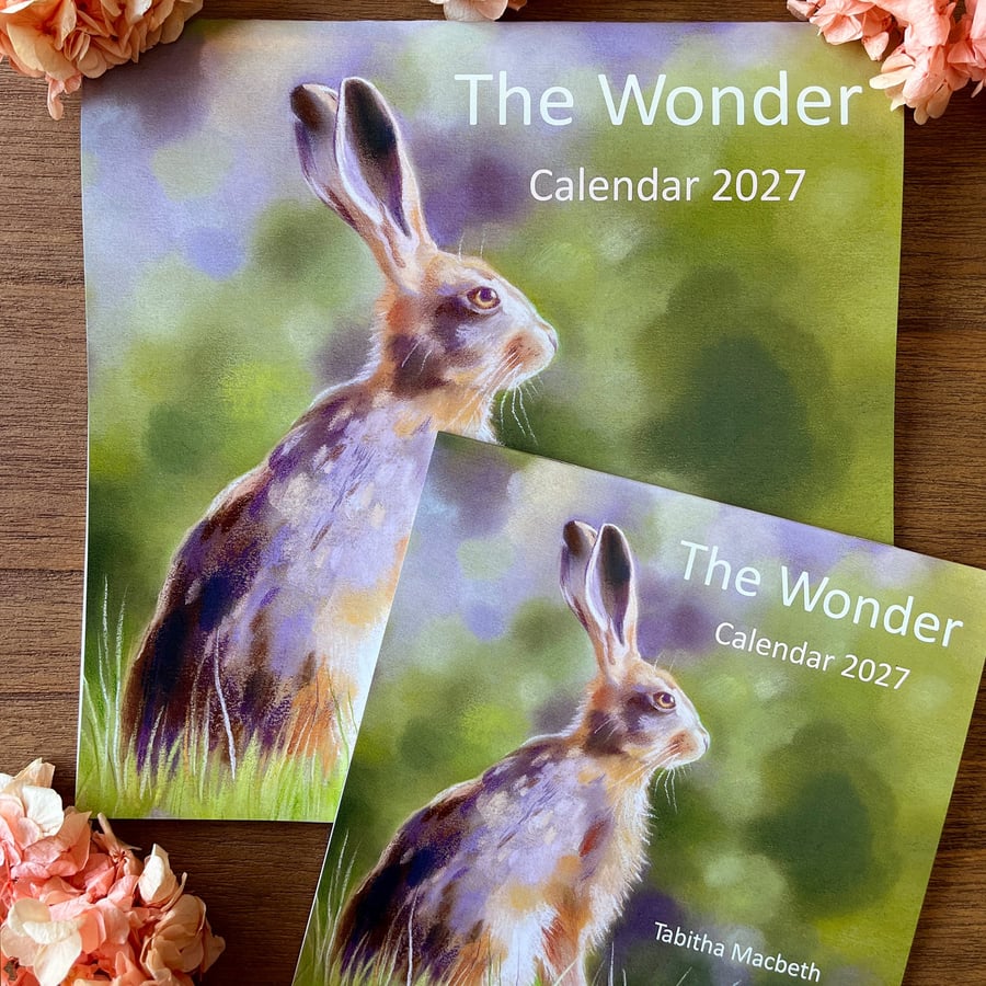 SMALL 2027 Nature Art Calendar - wall calendar, wildlife illustrations