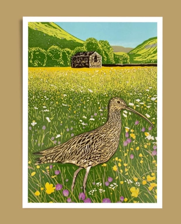  Curlew Meadow - Giclée Print 