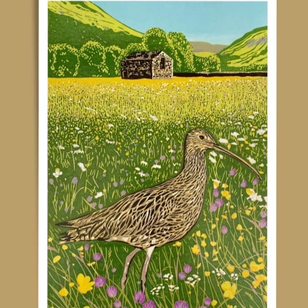 Curlew Meadow - Giclée Print 