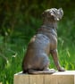 Sitting Puggle Dog Statue Large Bronze Resin Sculpture - Image 8
