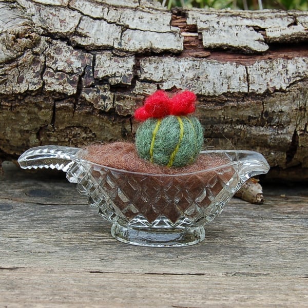 Needle Felt Wool Cactus Displayed in a small Vintage glass jug