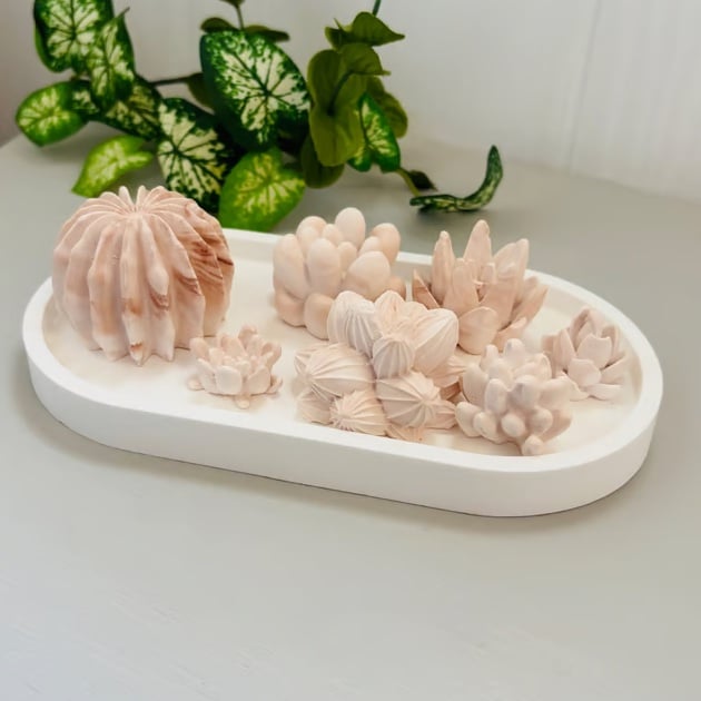 Set of 7 Succulent & Cactus Aroma Stones with Tray