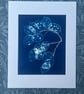 Seed Pods captured in Cyanotype, Gift for gardner, Original wall art. - Image 1