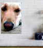 Golden Retriever Dog Portrait Photograph Print - Image 4