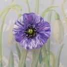 PURPLE POPPY BROOCH Animal Memorial Pin War Amimals Remembrance Pin HAND PAINTED