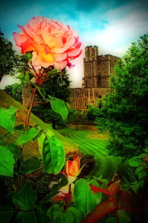 Windsor Castle Berkshire England UK Photograph Print