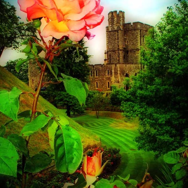 Windsor Castle Berkshire England UK Photograph Print