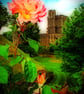 Windsor Castle Berkshire England UK Photograph Print