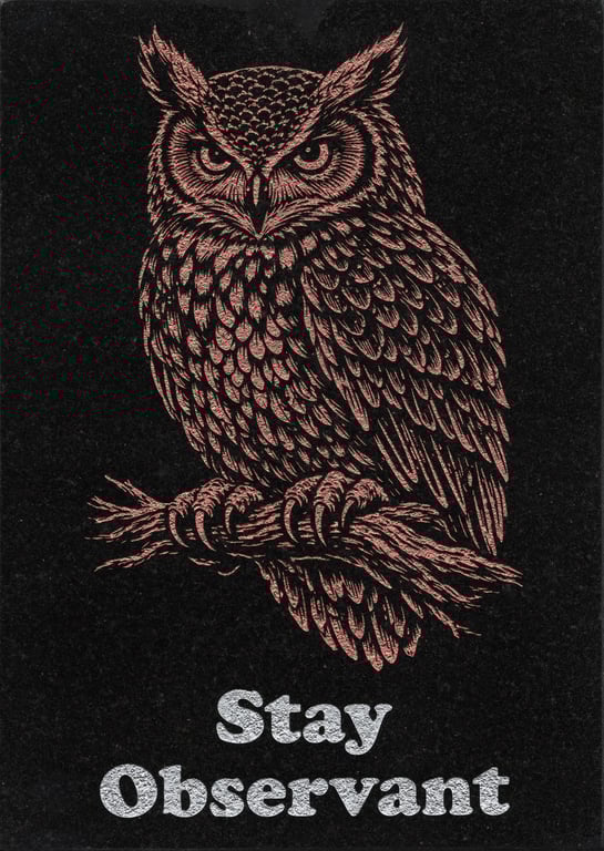 Stay Observant … Nature Wisdom (Owl)