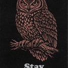 Stay Observant … Nature Wisdom (Owl)