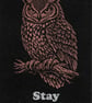 Stay Observant … Nature Wisdom (Owl)