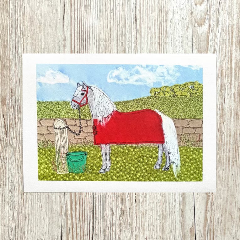 Grey pony giclee print 
