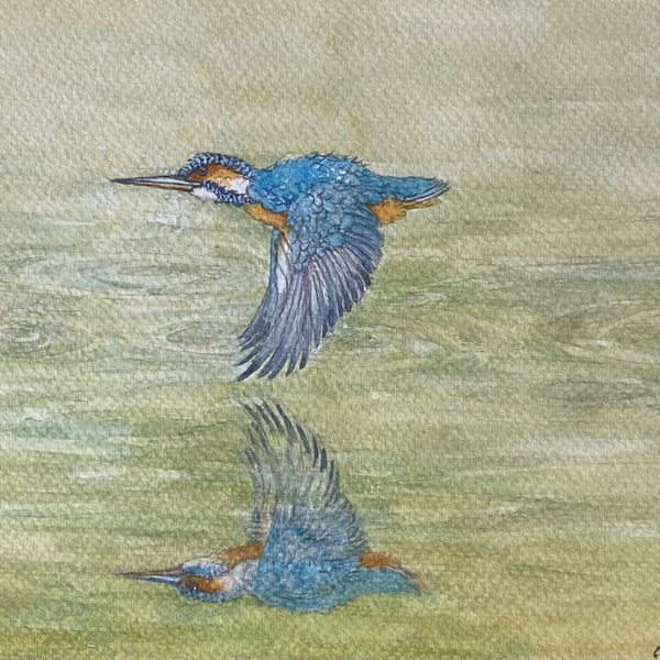 Kingfisher Reflection .Original watercolour by Christopher Hughes