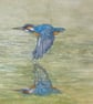 Kingfisher Reflection .Original watercolour by Christopher Hughes