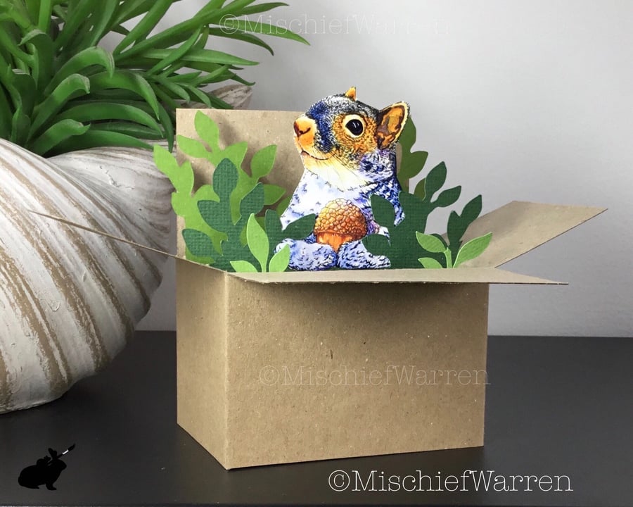 Squirrel Box Card. Blank or Personalised 3D card for any occasion.