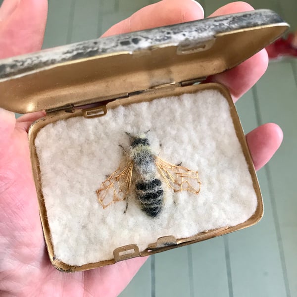 89b - Melitta dimidiata or Male Sainfoin Bee - bee art - Fifty Bees 2