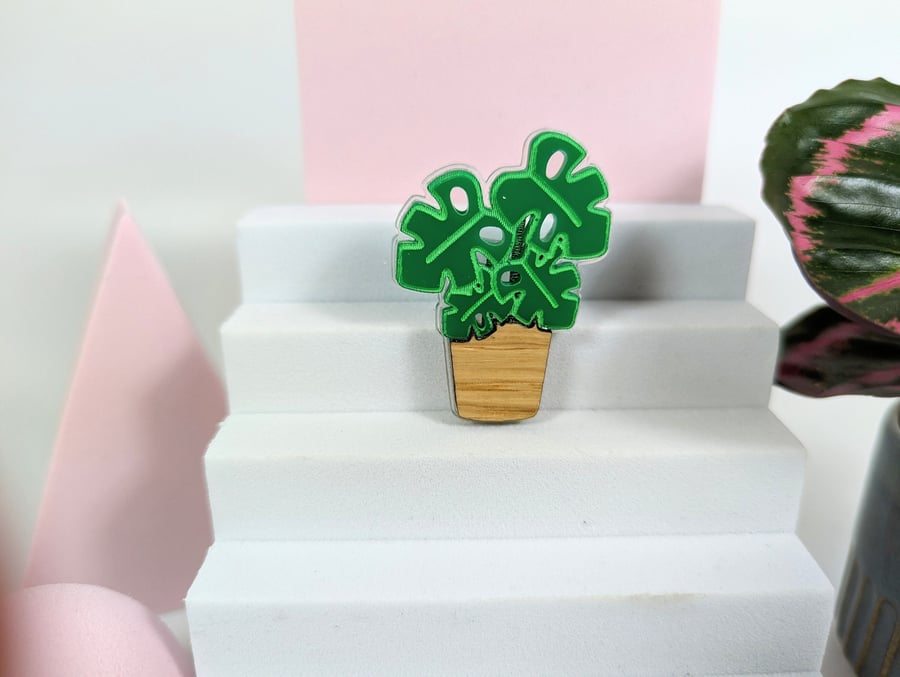 Plant brooch on acrylic and oak wood Aloe Monstera Pilea Cactus Alocasia brooch