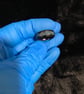 Resin ring sea blue with glass crystals - Image 3