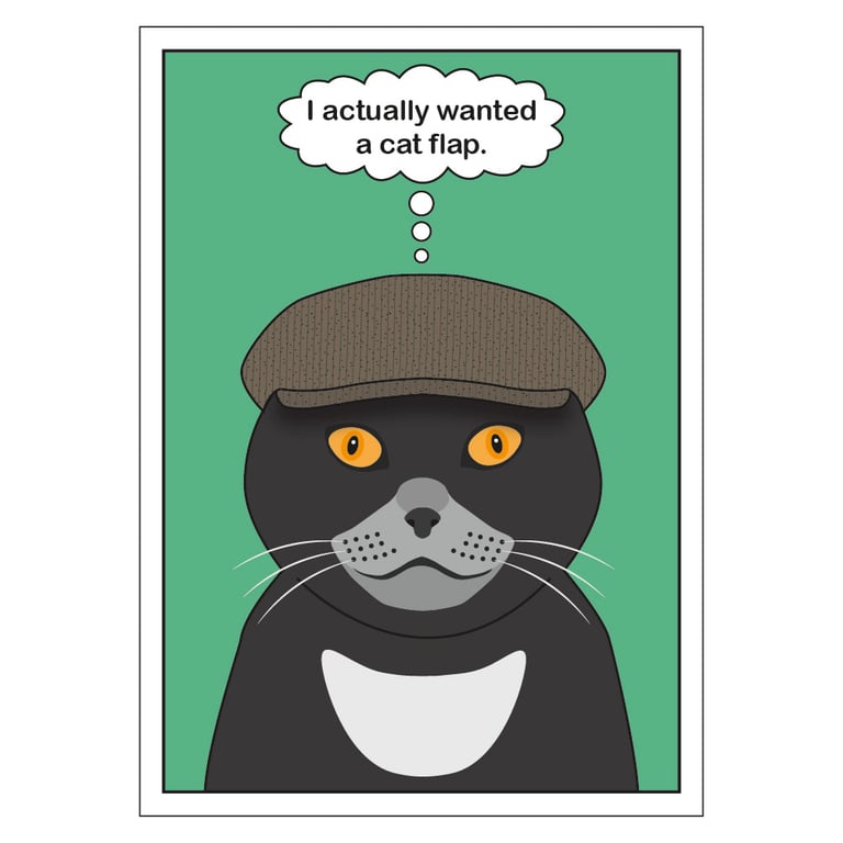 Cat Flap Postcard