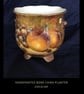 Worcester Fruit .Handpainted bone china planter by Christopher Hughes  - Image 5