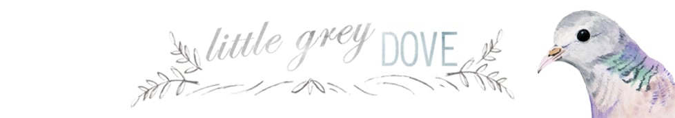 little grey dove