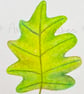 Green Oak Leaf Original Painting - Image 2