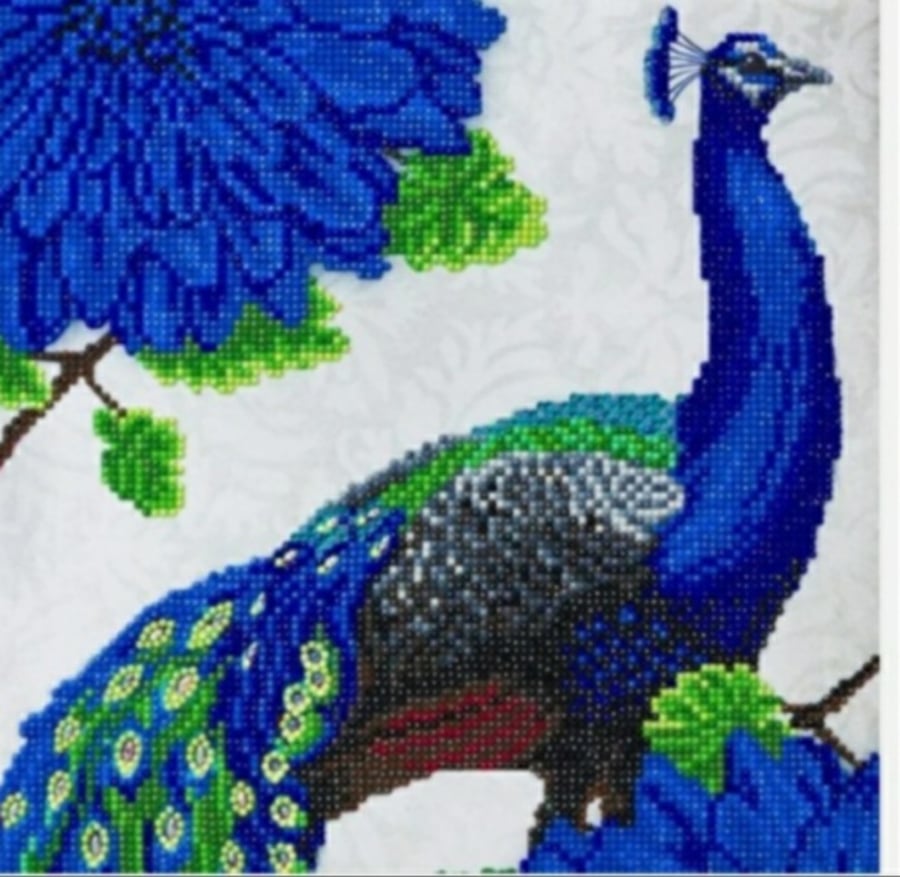 Peacock 30x30cm crystal art craft buddy kit