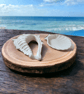 Sea shells set trinket tray and shell decoration