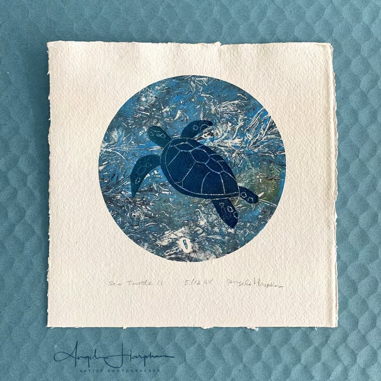 Lino Print and Monoprint Original on Mounted on Khadi Paper - Sea Turtle