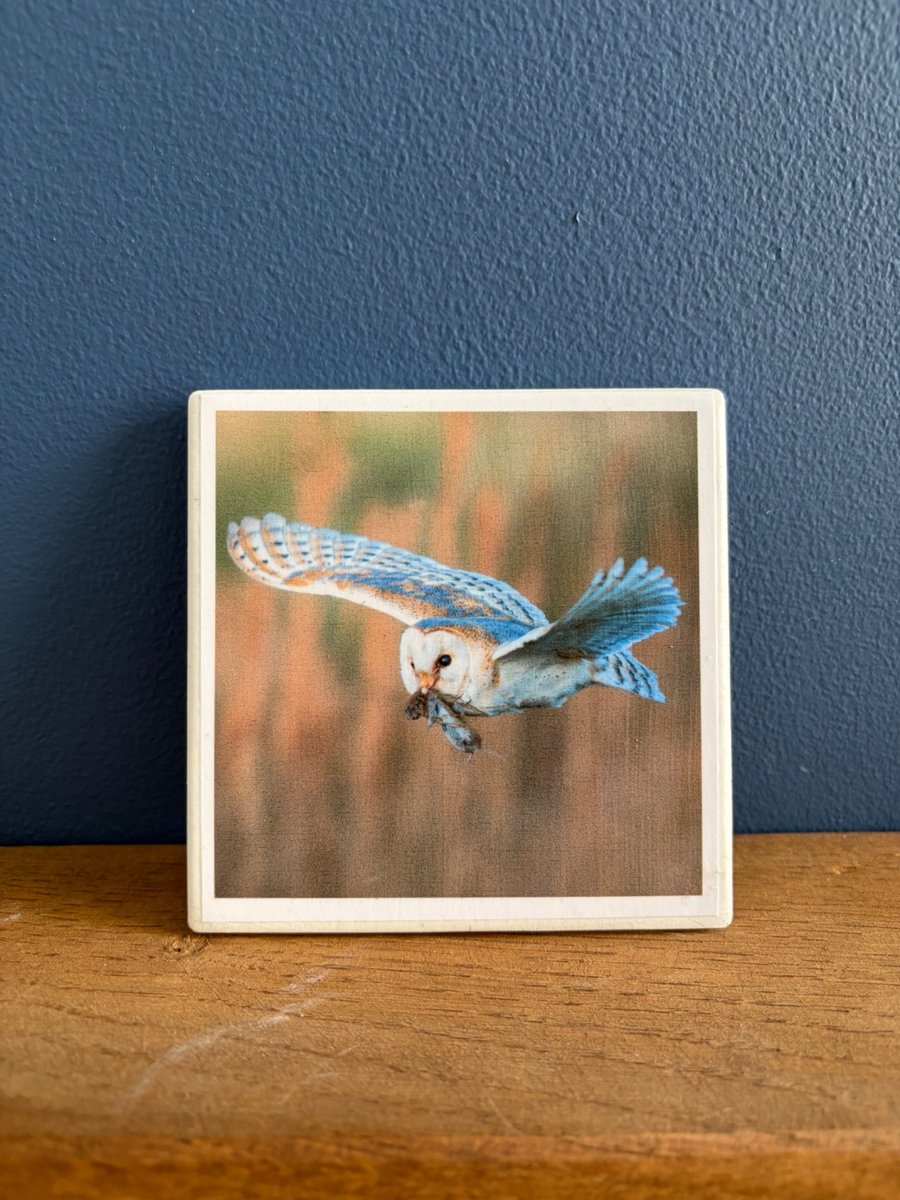 Hunting Barn Owl Ceramic Coaster 