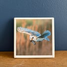 Hunting Barn Owl Ceramic Coaster 