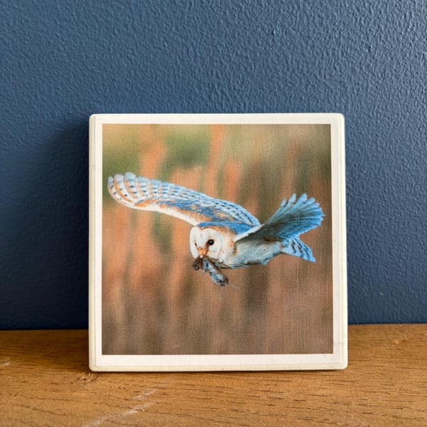 Hunting Barn Owl Ceramic Coaster 