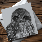 Customisable Owl Card, Illustrated Front with Story Inside
