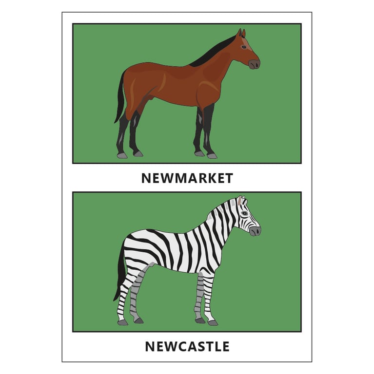 Newcastle Postcard