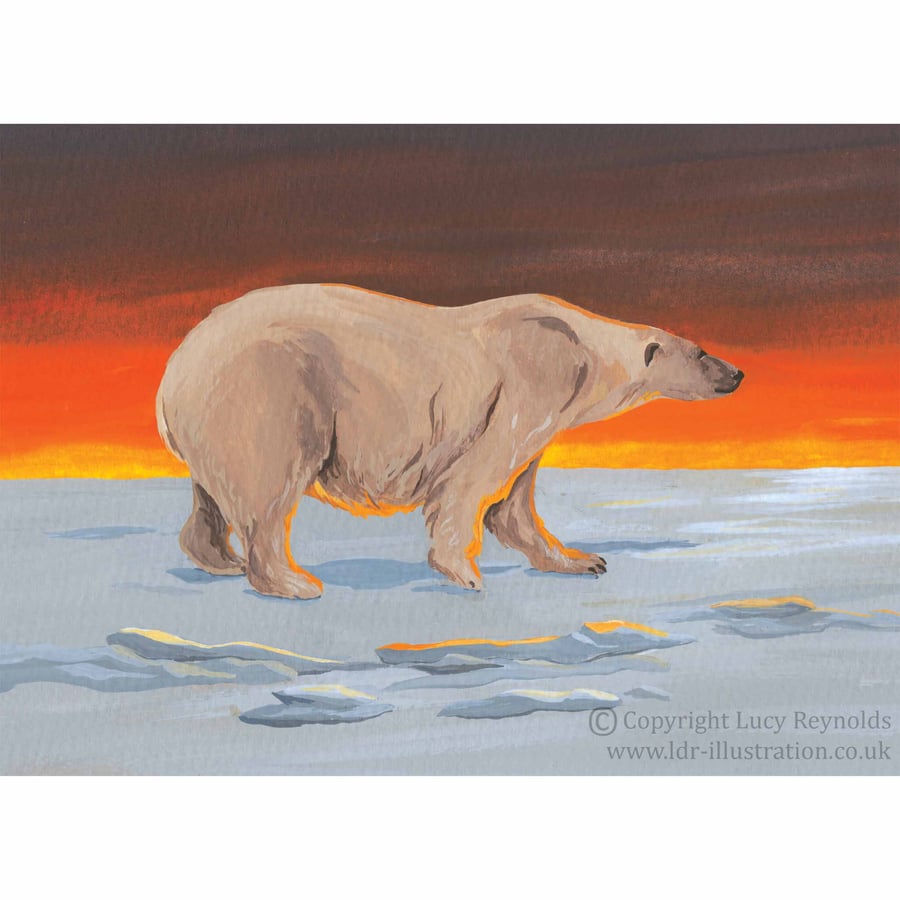Polar Bear Print 10 by 7 inches