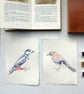Original Watercolour Jay Painting Unframed - Image 7