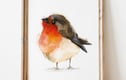 Inkjet Prints