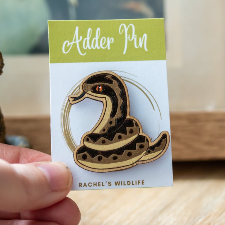 Adder Wooden Pin Badge – Hand-Painted British Snake Brooch for Nature Enthusiast