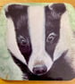 Beautiful glossy 9cm square coaster - Badger 