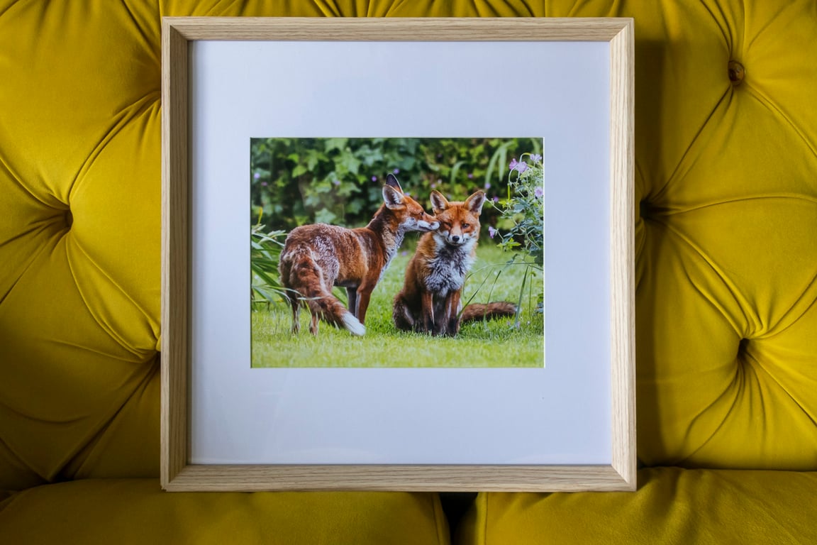 Ed Brown Photography