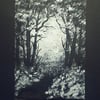 aceo woodland