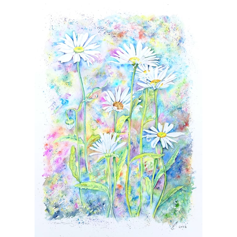 Modern Botanical Watercolour Painting of Ox Eye Daisies. 