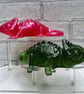 Lizard. Various Colours In "Choose Option" - Image 1
