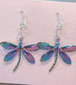 Beautiful Anodised  Stainless Steel Dragonfly Earrings - Image 3