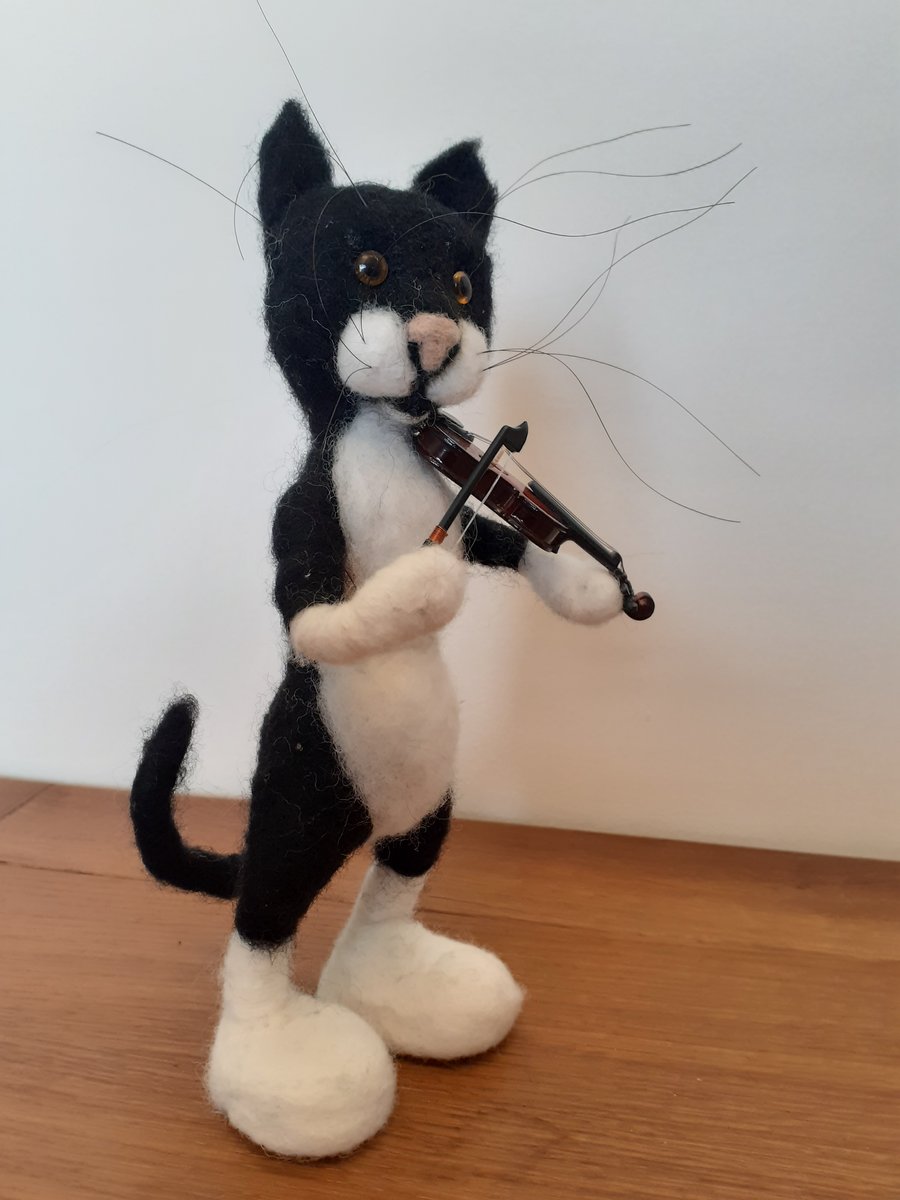 The Cat and a Fiddle 