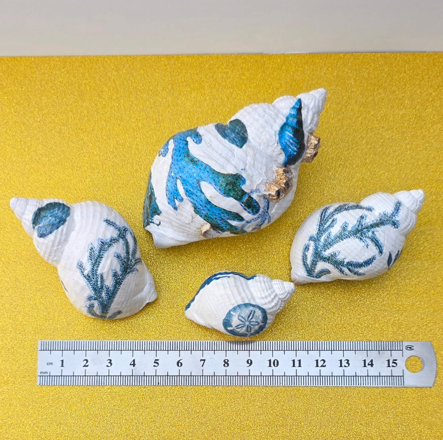 Hand Decorated Whelk Shells