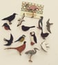 Bird badges  - Image 1