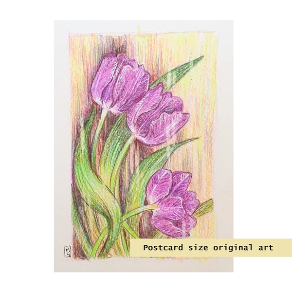 Purple tulips, small drawing, original art letterbox gift